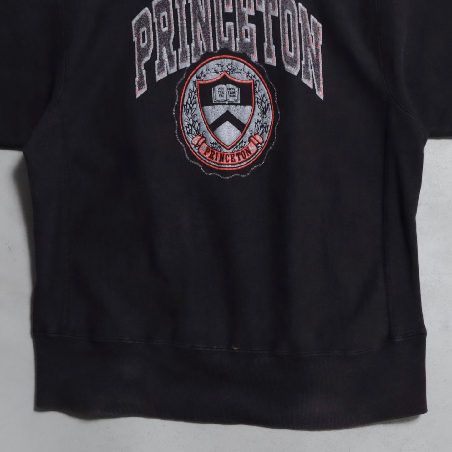 CHAMPION "PRINCETON" REVERSE WEAVE SWEAT SHIRT (BLACK/LARGE/GOOD USED CONDITION)