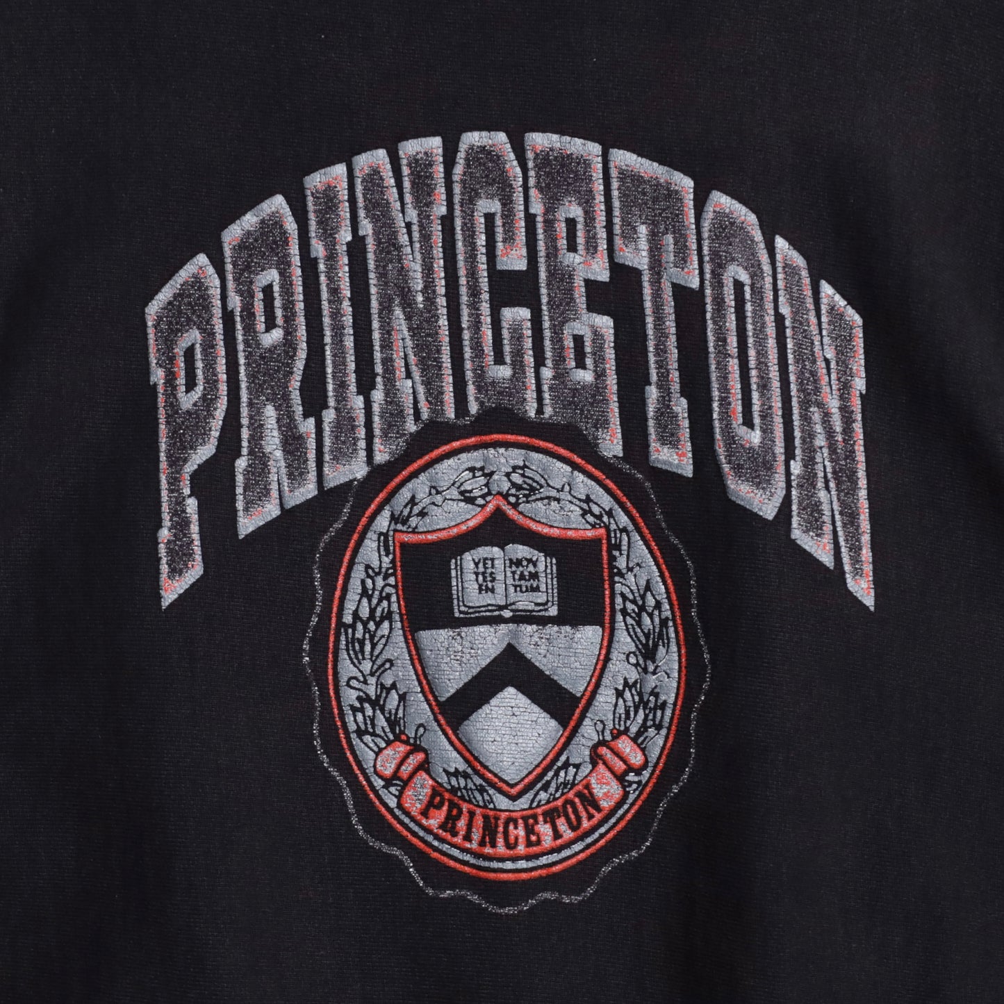 CHAMPION "PRINCETON" REVERSE WEAVE SWEAT SHIRT (BLACK/LARGE/GOOD USED CONDITION)