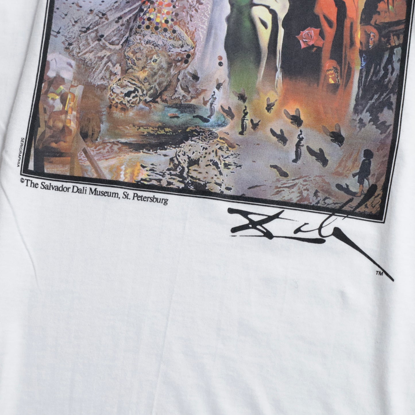 DEAD STOCK THE SALVADOR DALI "THE HALLUCINOGENIC TOREADOR" ART L/S T-SHIRT (WITH FLASHER/DEAD STOCK)